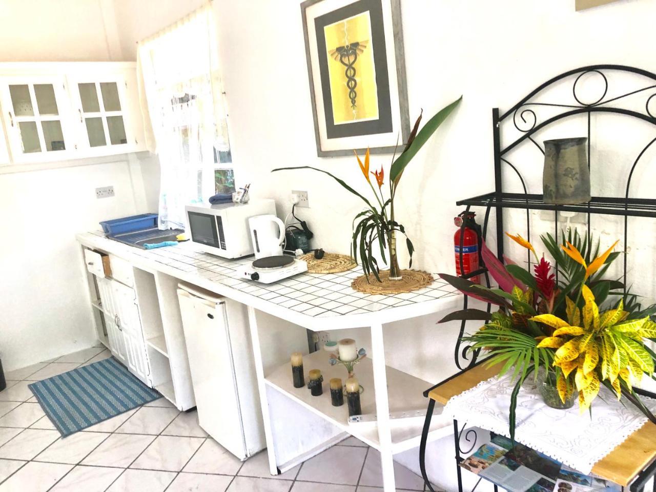 Diamondview Apartman Soufrière Kültér fotó